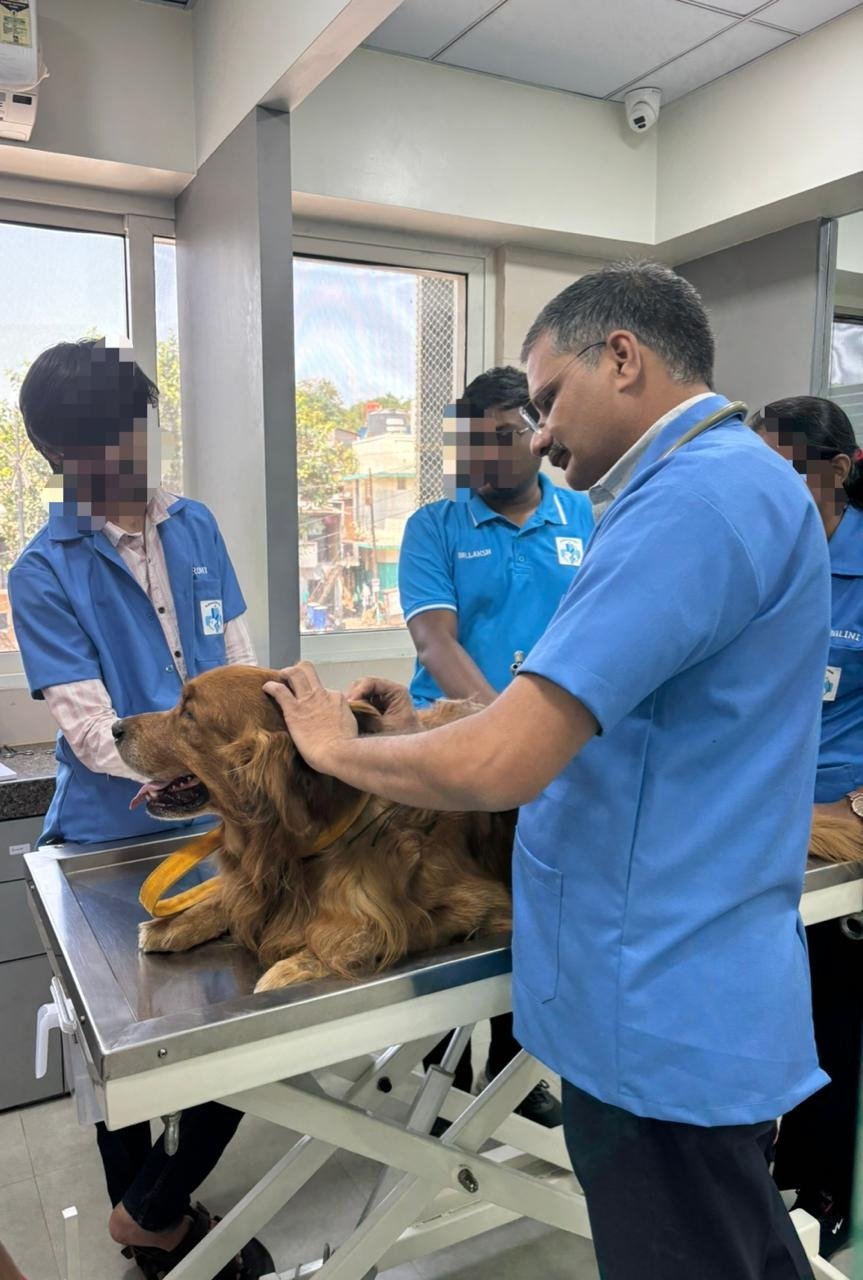 Pet clinic gallery 6