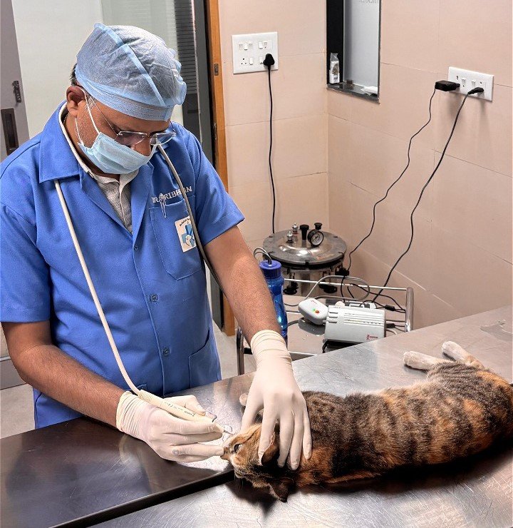 Pet clinic gallery 6