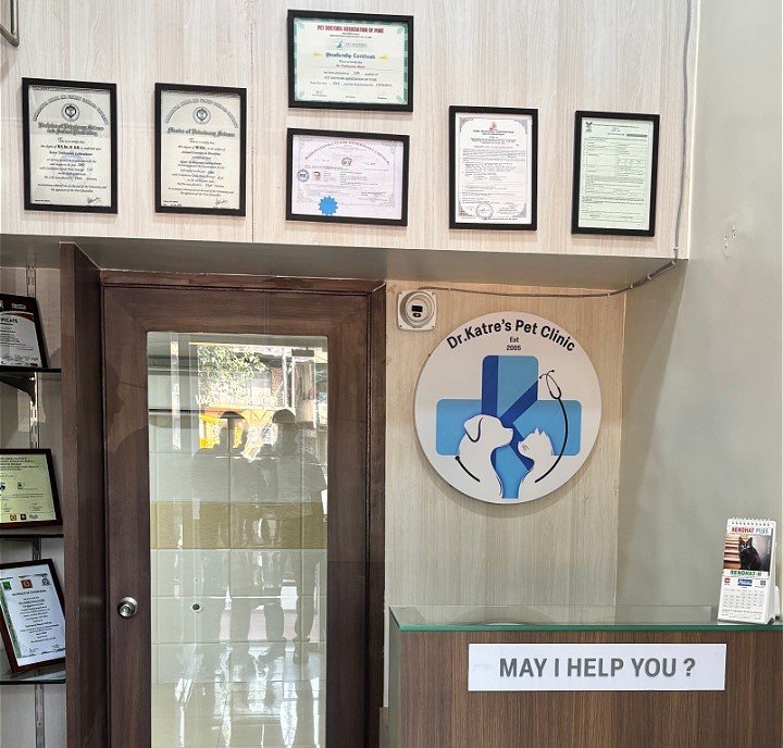 Pet clinic gallery 3