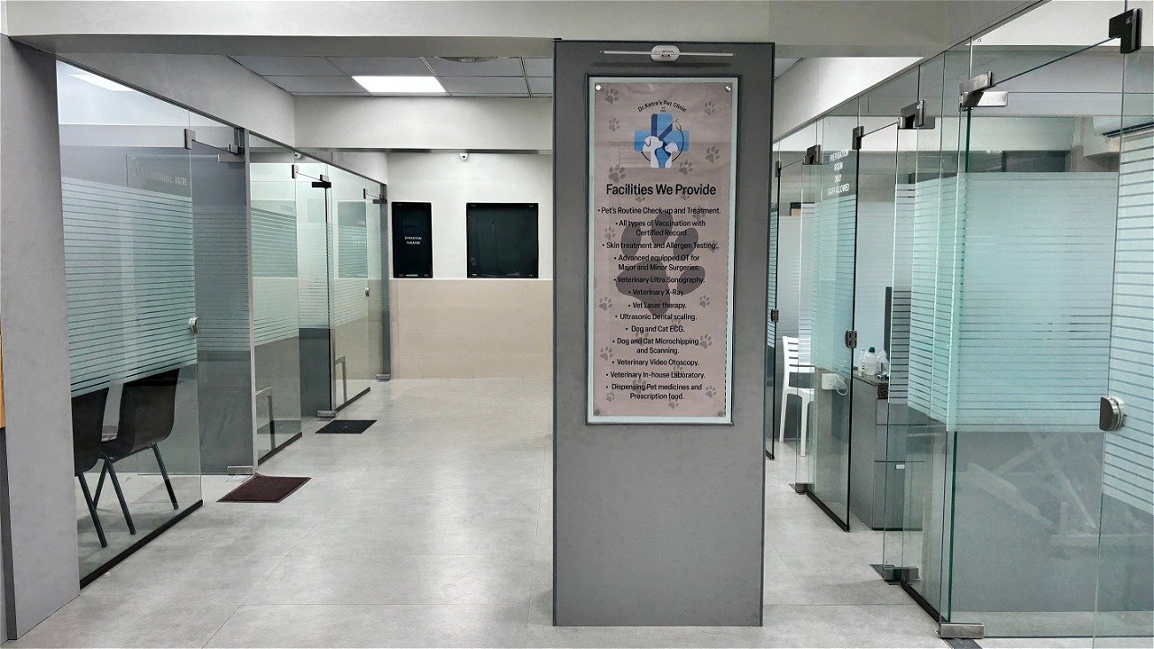 Pet clinic gallery 4