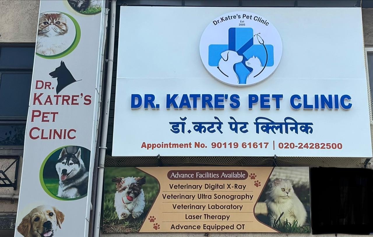 Pet clinic gallery 5