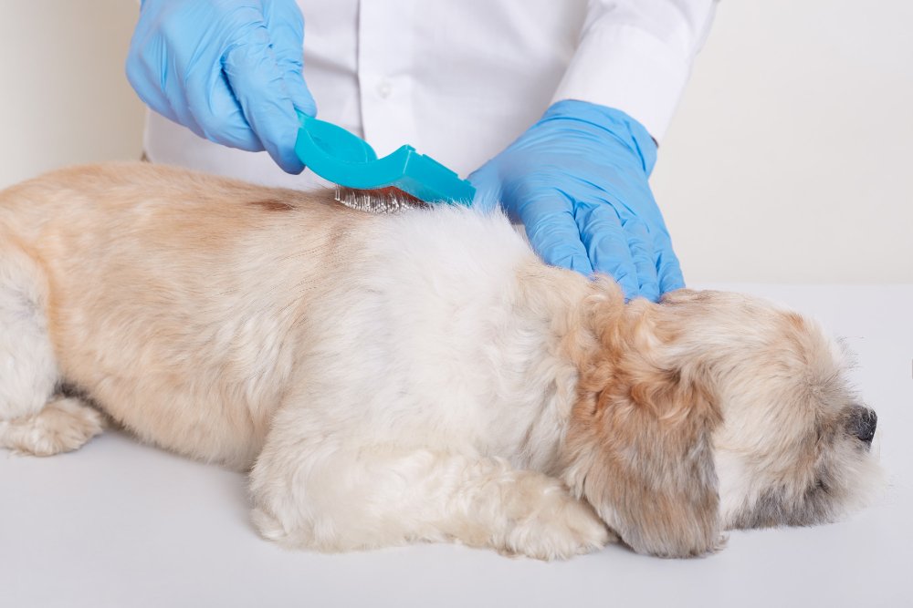 Skin treatment and allergen testing
